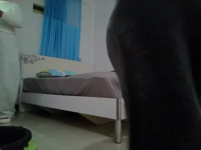 少妇玩69～大屁股好光滑